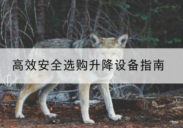 康定升降货梯厂家推荐-*安全选购升降设备指南