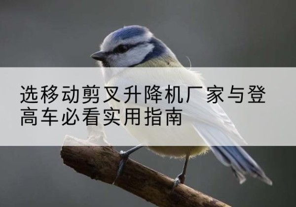 康定电动升降机厂家-选移动剪叉升降机厂家与登高车必看实用指南